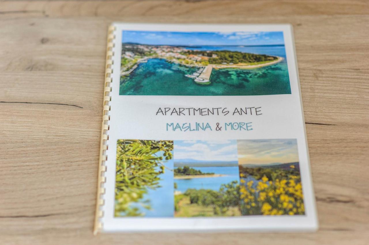 Apartman Maslina Šibenik Dış mekan fotoğraf