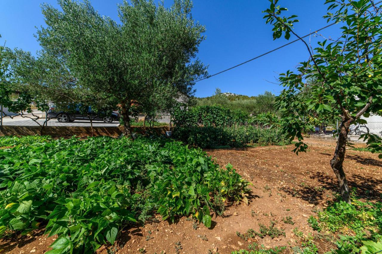 Apartman Maslina Šibenik Dış mekan fotoğraf