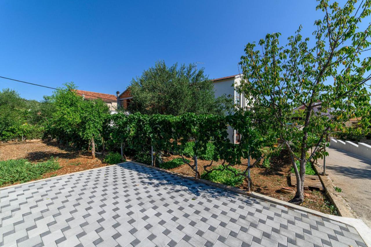 Apartman Maslina Šibenik Dış mekan fotoğraf